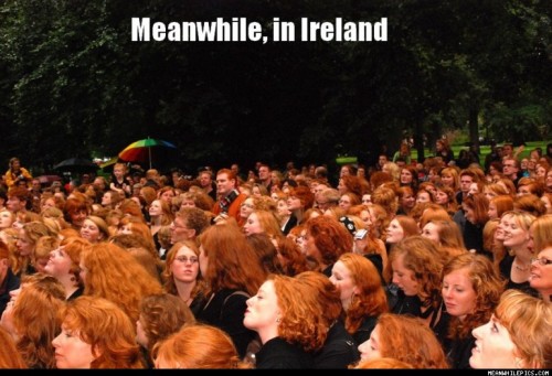 Rassemblement Irlandais