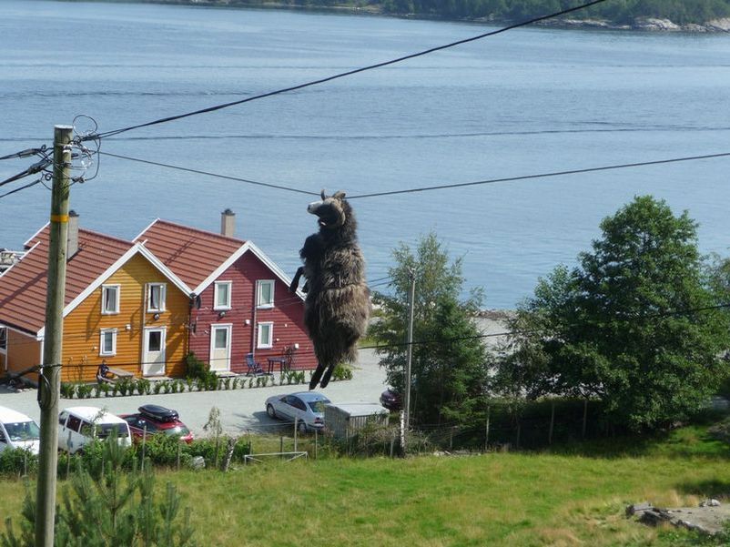 Mais qu’est ce tu fou là haut toi ??