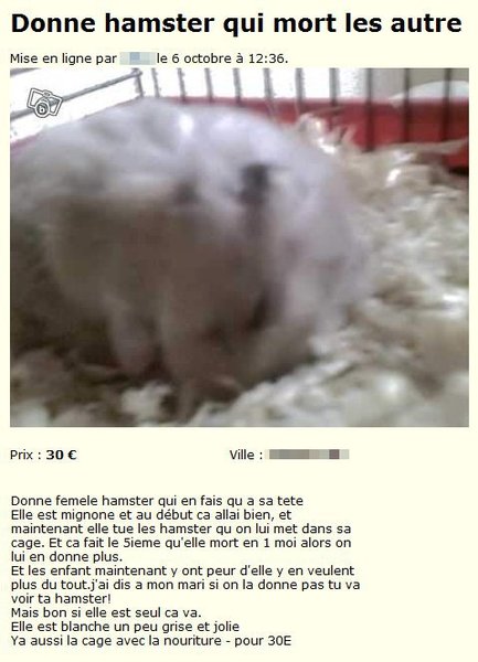 Hamster Qui Mort Les Autres