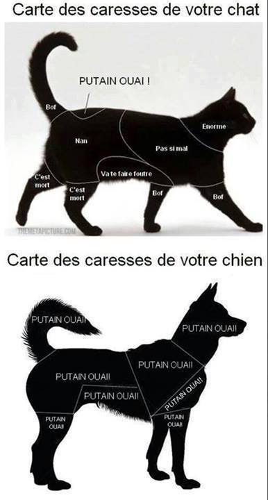 Carte des caresses !