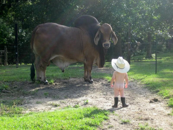 Mini Cowboy